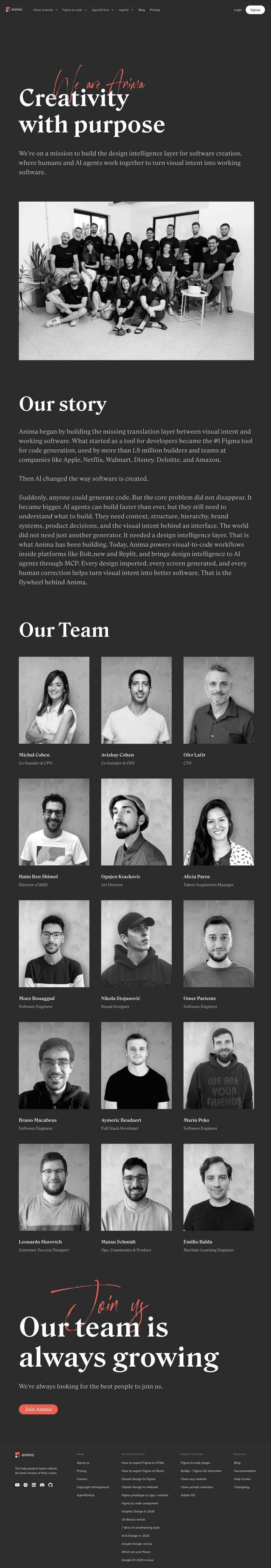 Anima about us website preview