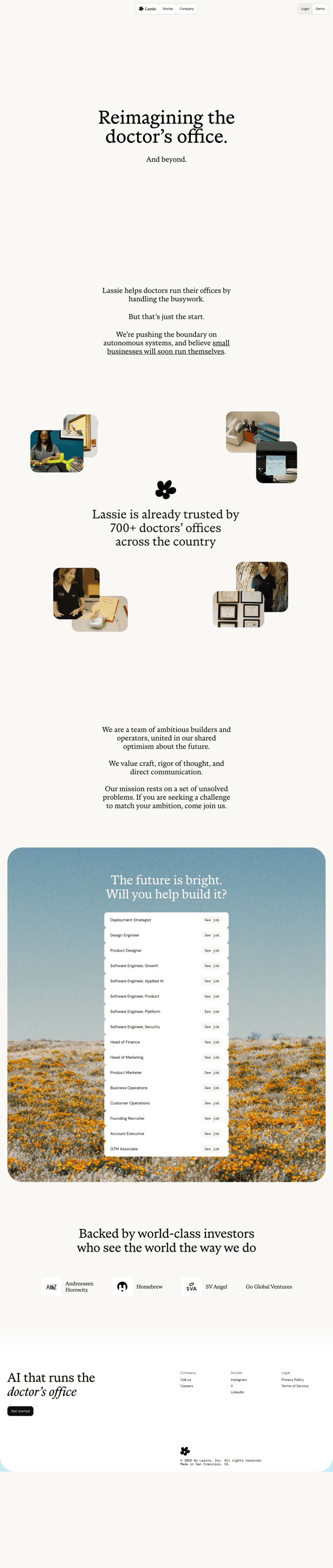 Lassie about us website preview