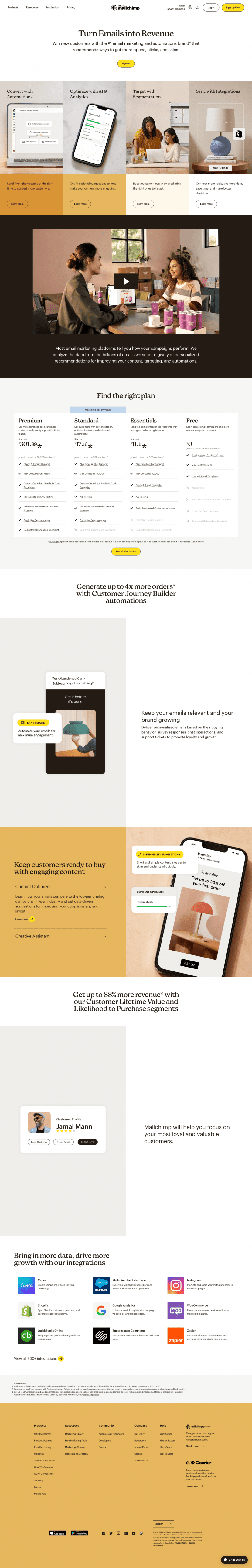 Mailchimp landing page website preview