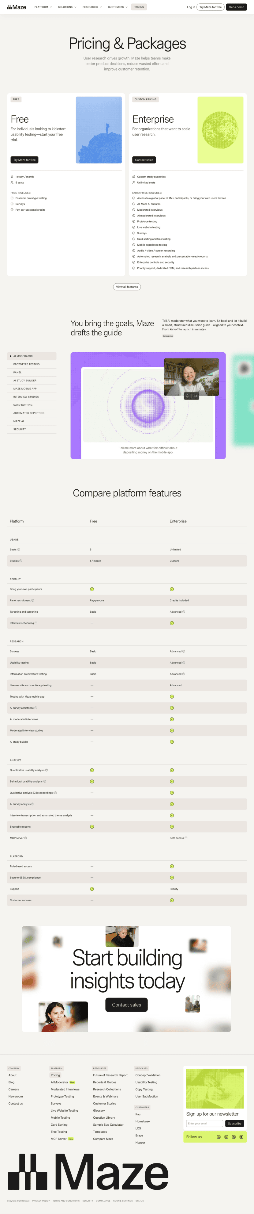 Maze pricing website preview