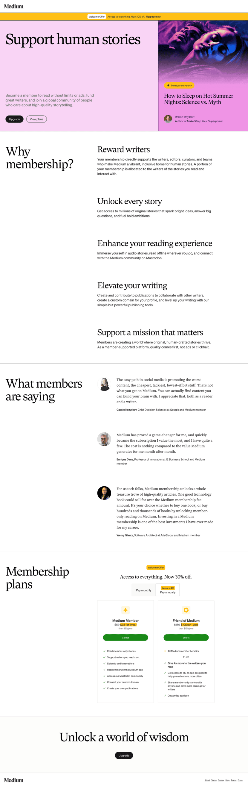 Medium pricing website preview