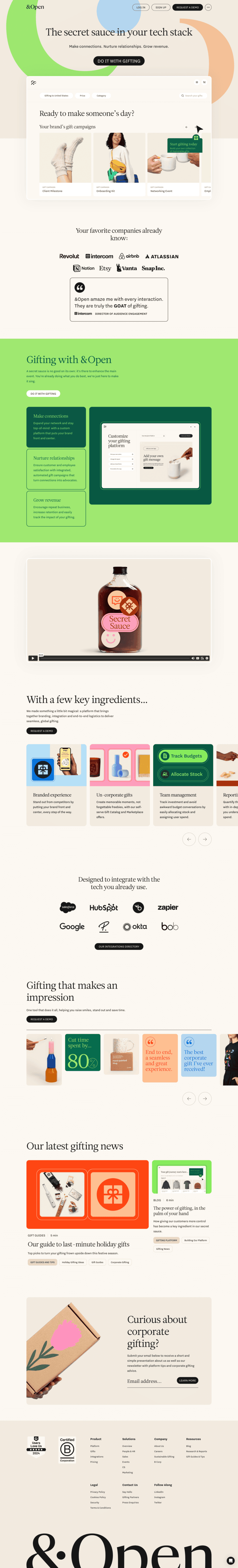 &Open landing page website preview