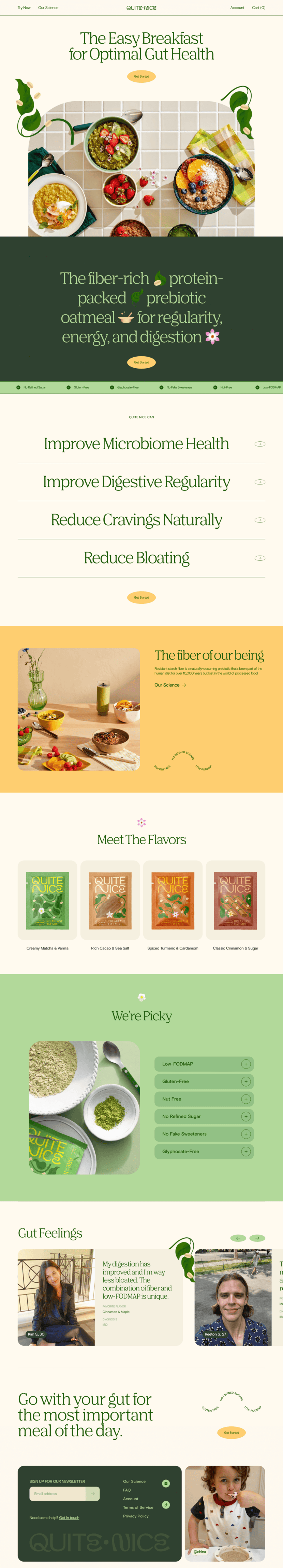 Quite Nice landing page website preview
