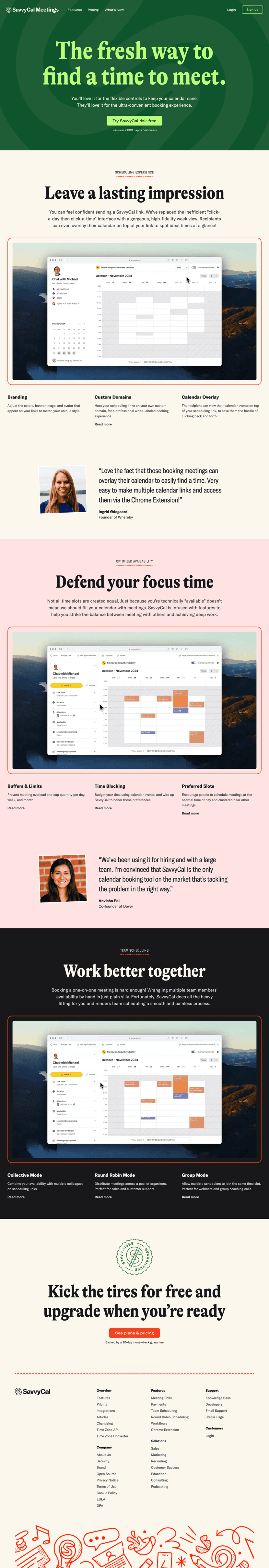 SavvyCal landing page website preview