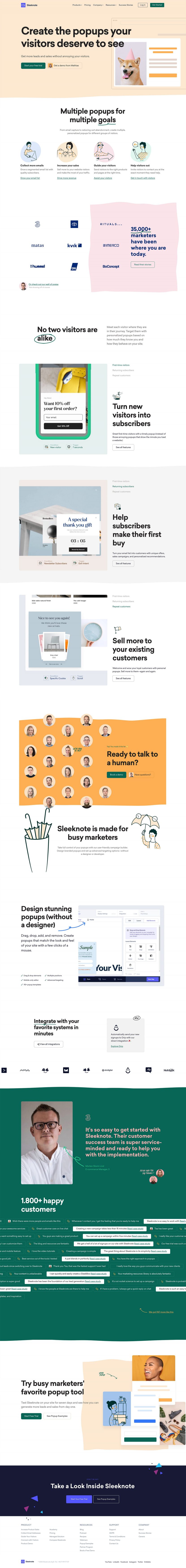 Sleeknote landing page website preview