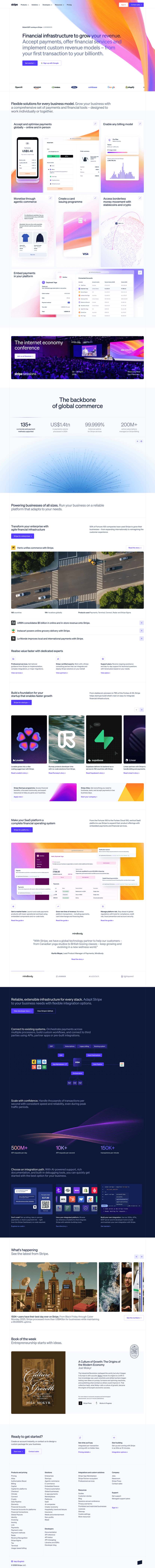 Stripe landing page website preview