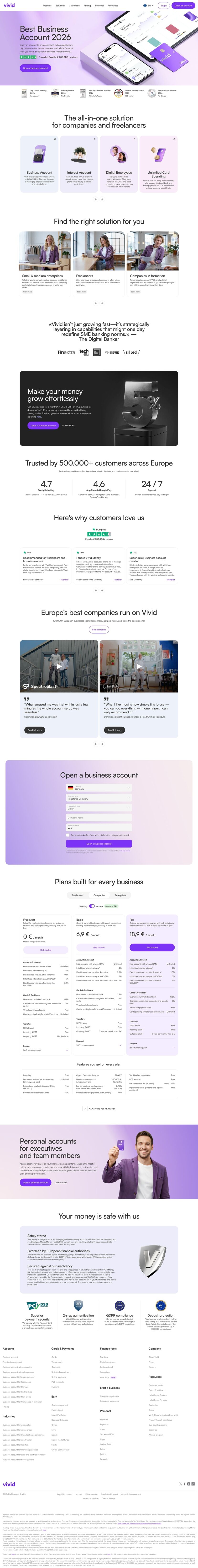 Vivid landing page website preview