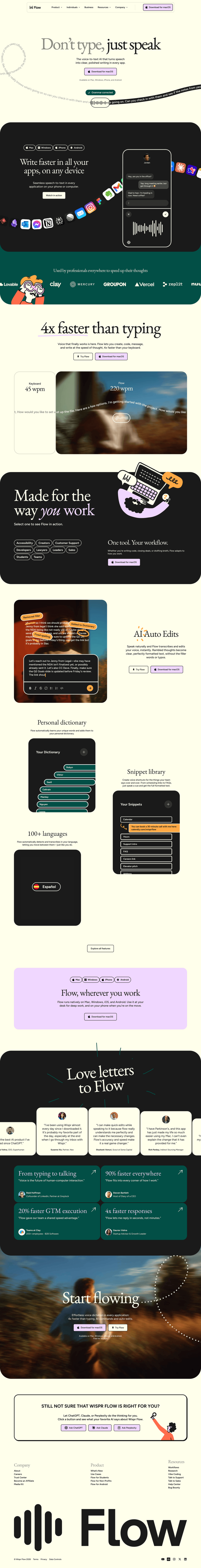 Wispr Flow landing page website preview
